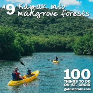 stcroix100-009-mangrove