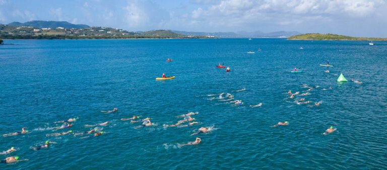 event coral reef swim dji 0938 054397 tsml large 768x337