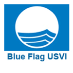 Blue Flag Logo