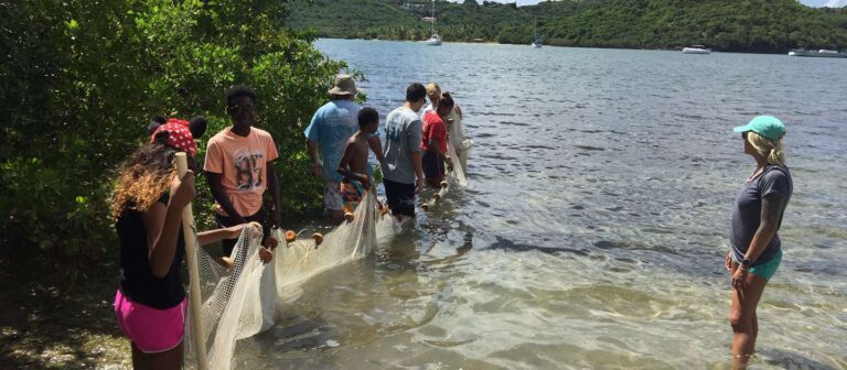 ad st croix environmental association 768x336