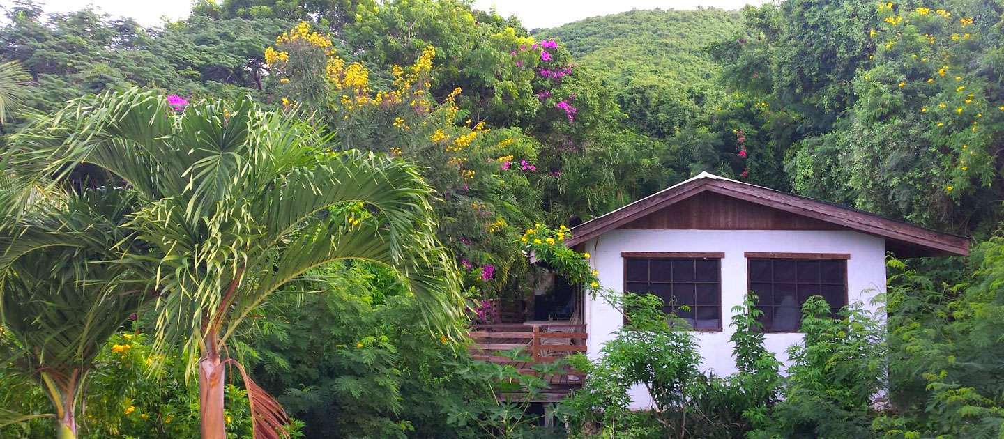 Eco Houses