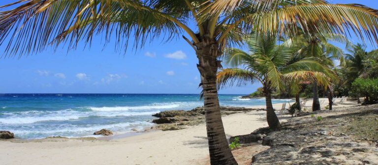 feat davis bay beach 01 768x336