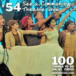 stcroix100-054-see-a-community-theatre-show