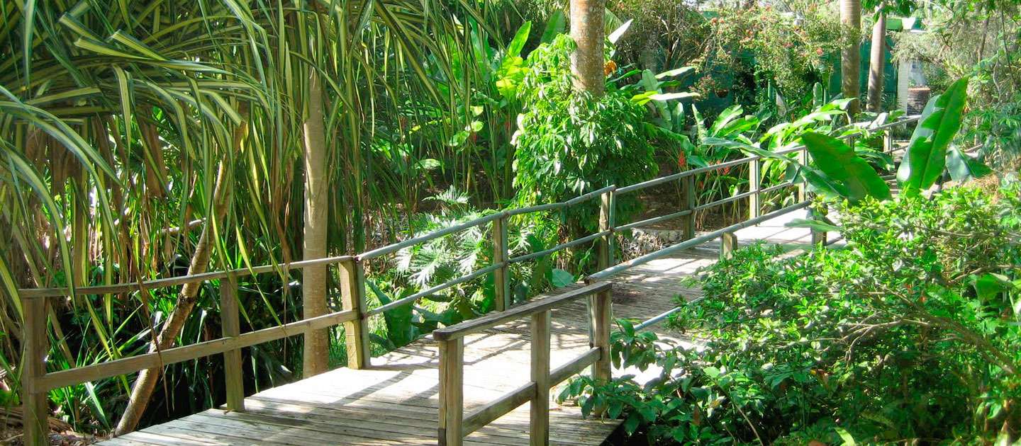 Cruzan Gardens