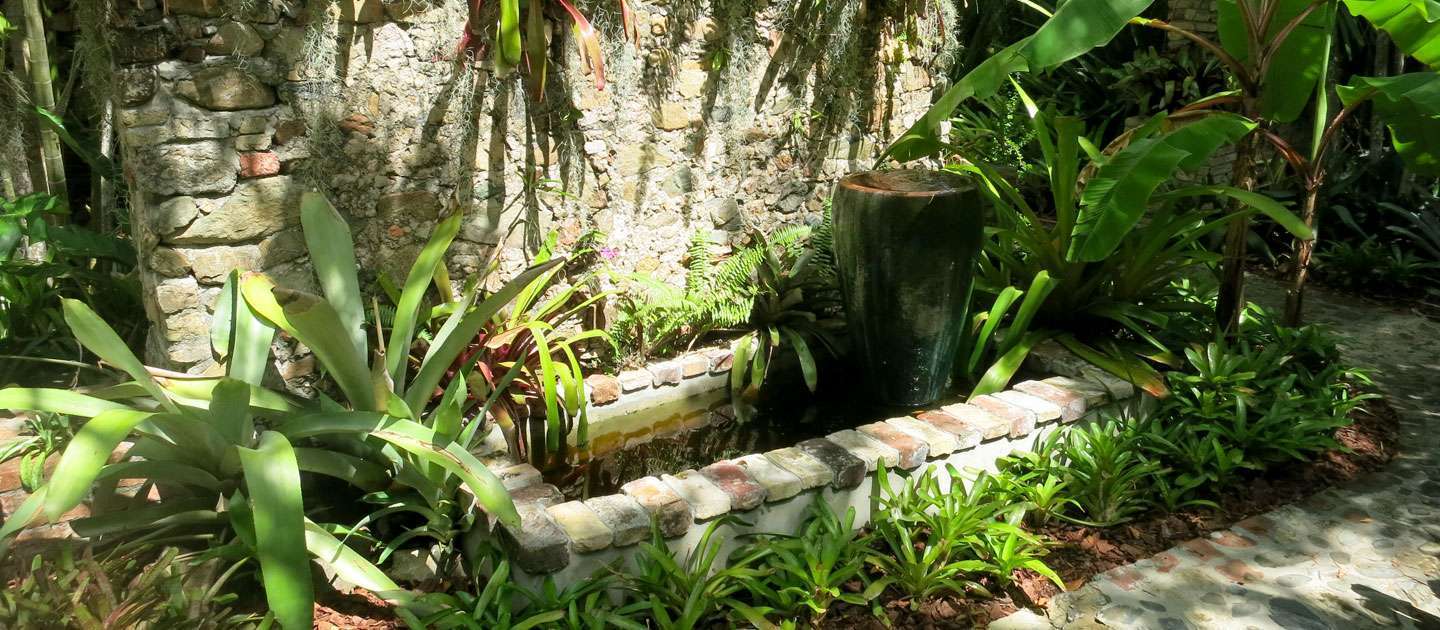 Reconnect with Nature at the Botanical Garden