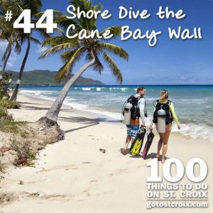 stcroix100-044-dive-canebay