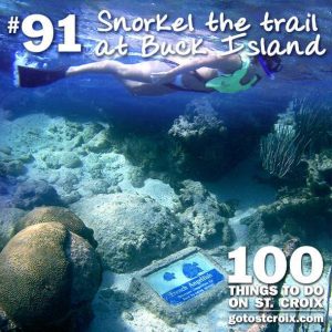 stcroix100-091-Trail-Buck-Island