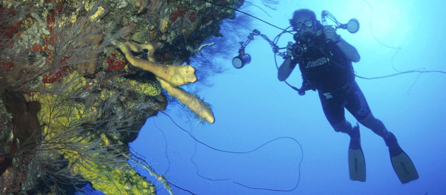 Dive the World Famous Cane Bay Wall