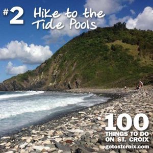 stcroix100-002-Hike-Tide-Pools1