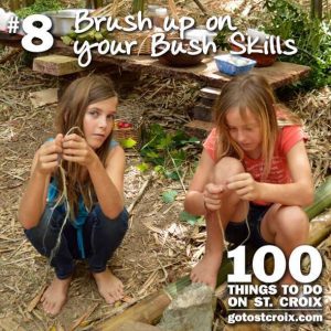 stcroix100-008-bush-skills