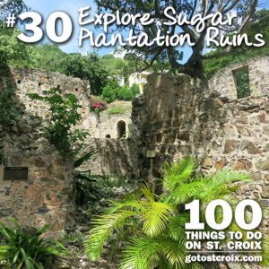 stcroix100-030-Sugar-Plantation-3