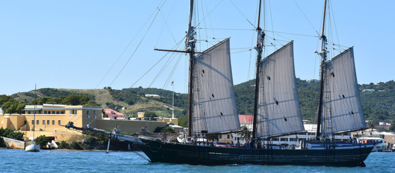 ad world ocean school dennis sullivan 2 768x337