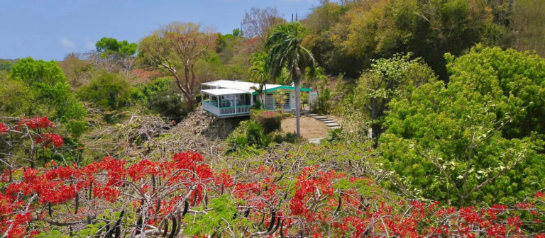gallery feather leaf inn retreat.jpgsea glass properties st croix little princess listing 768x336