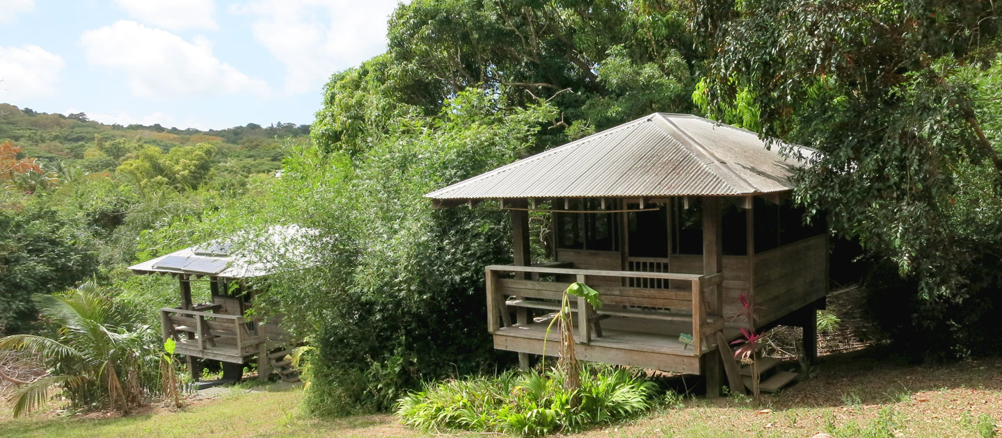 Ridge to Reef Farm