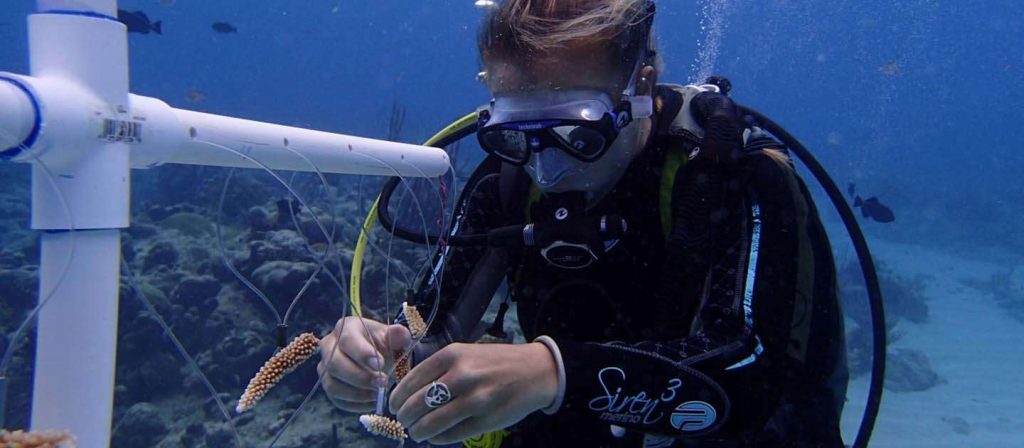 Protecting Our Coral Reefs