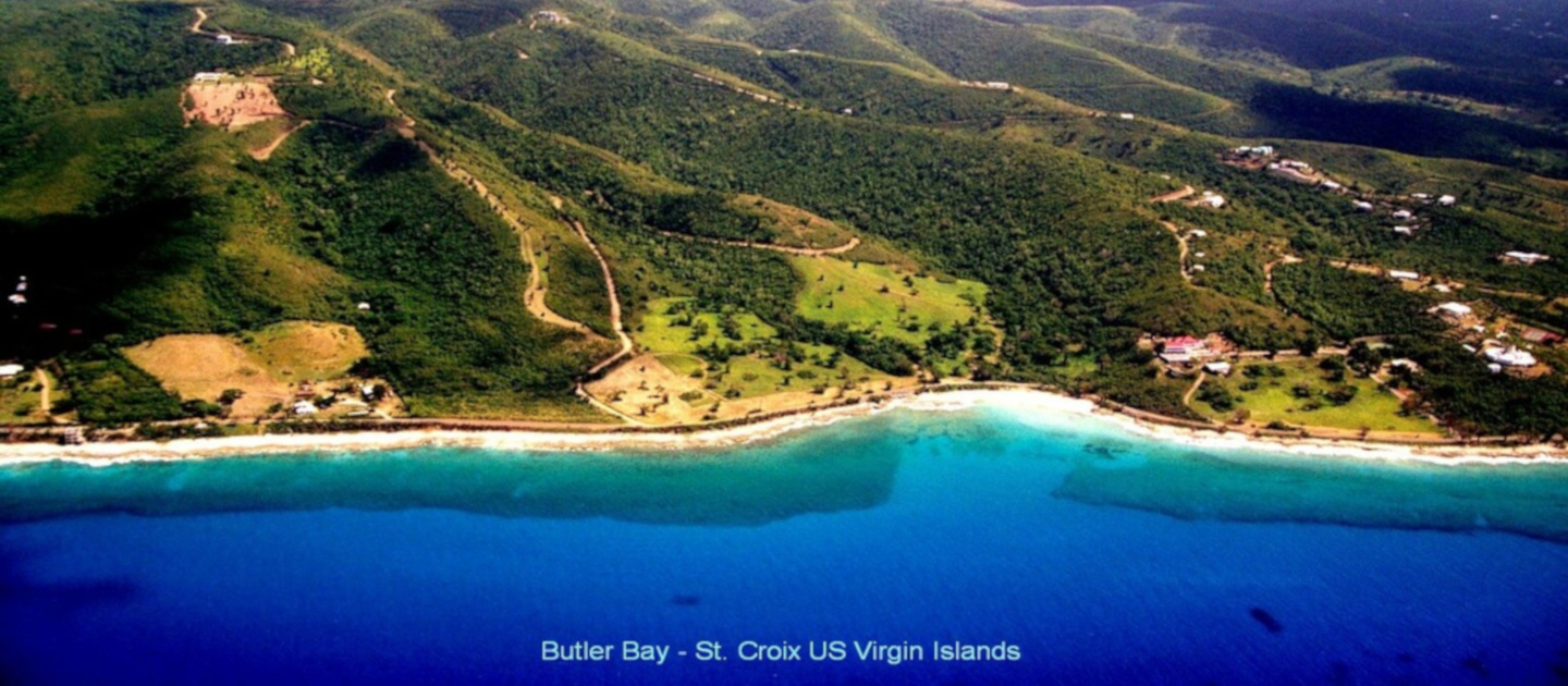 butler bay image