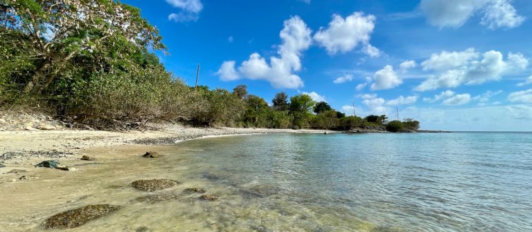 edit beaches butler bay 1 768x336