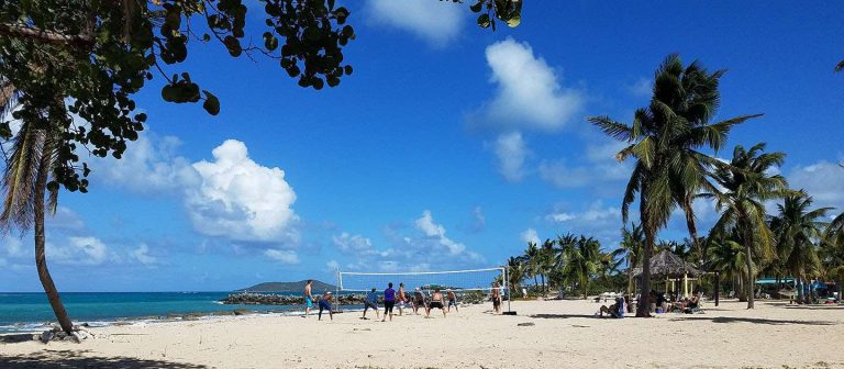 feat tamarind reef 00 768x336