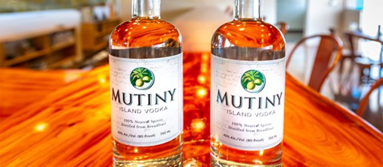 gallery sion farm distillery bottles 1 768x336