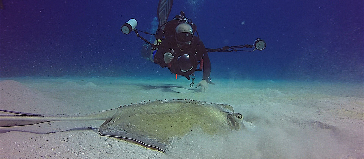sweet bottom dive center southern wray